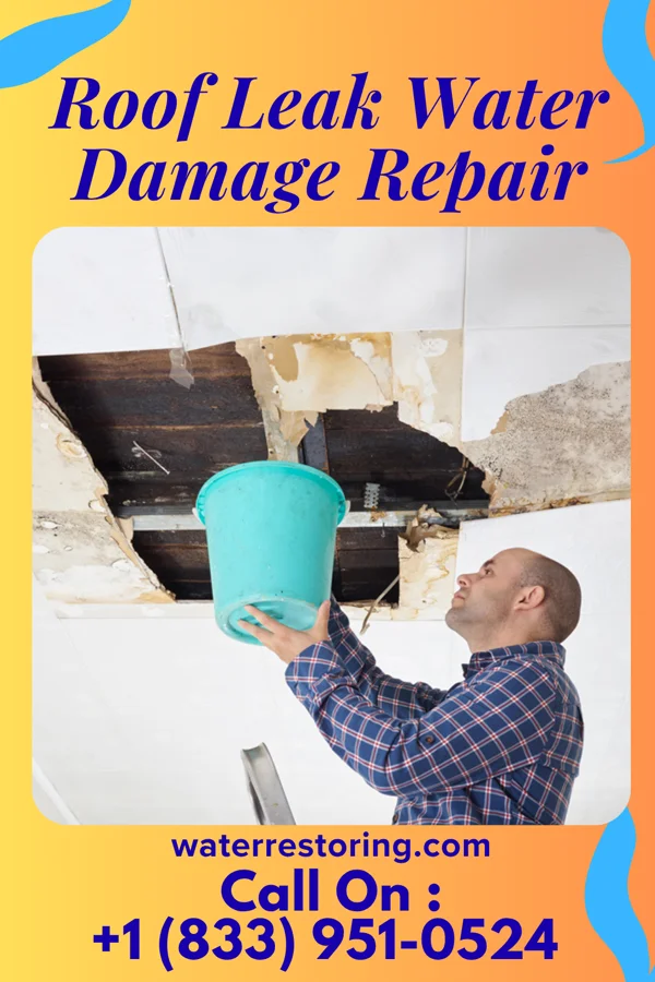 Roof Leak Water Damage Repair in Arkoma, OK